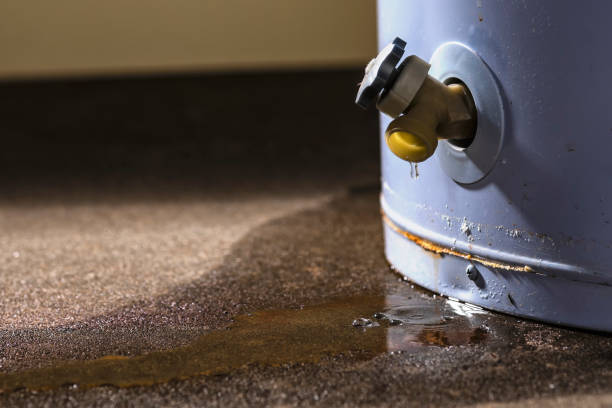 Best Mold removal after water damage  in Crozet, VA