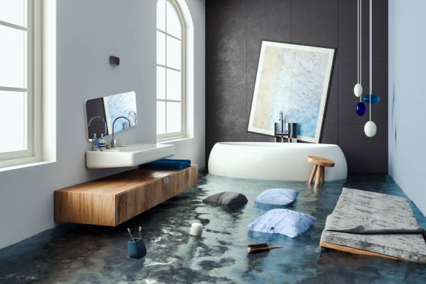 Best Flood restoration services  in Crozet, VA