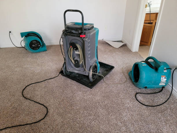 Best Carpet water damage restoration  in Crozet, VA