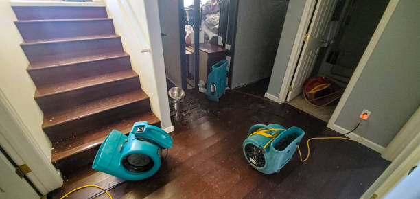 Best Fire Damage Restoration  in Crozet, VA