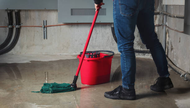 Best Sewage cleanup and water damage restoration  in Crozet, VA