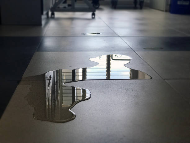 Best 24-hour water damage restoration  in Crozet, VA
