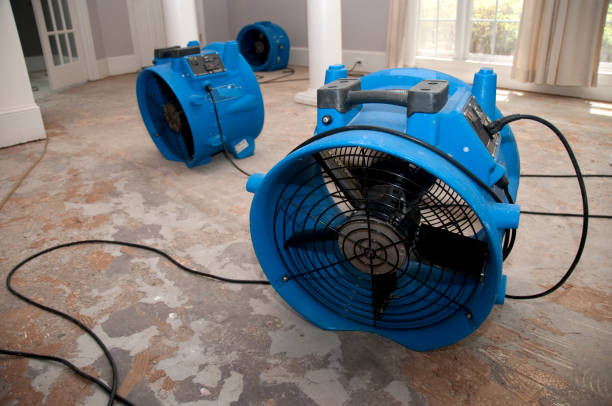 Best Commercial water damage restoration  in Crozet, VA
