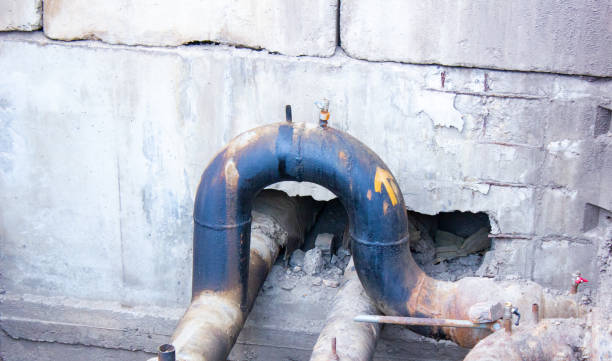 Best Basement water damage restoration  in Crozet, VA