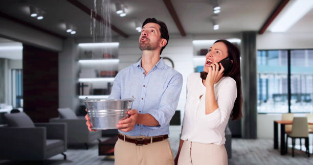 Best Flood restoration services  in Crozet, VA