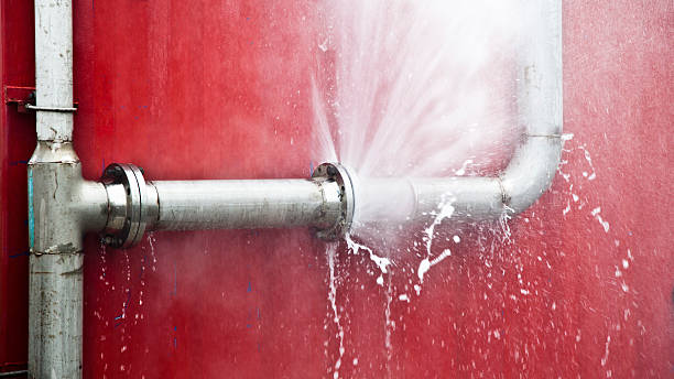 Best Local water damage restoration  in Crozet, VA